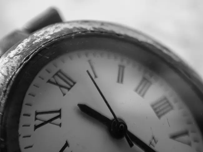 기술 발전이 이끄는 여가 사회와 사회 구조 변화